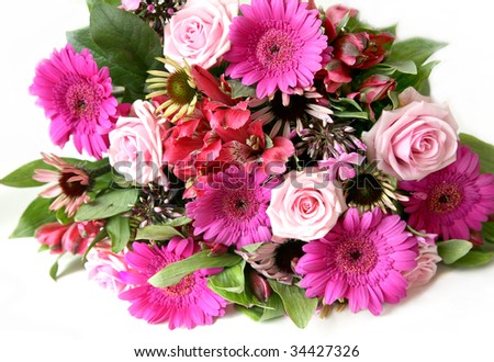 flowers isolated