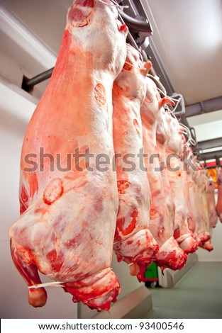 halal lambs in row in meat factory