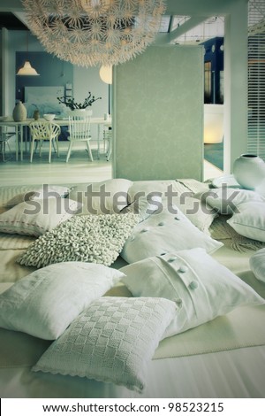 Living Room Pillows