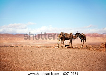 Morocco Atlas Mountains landscape