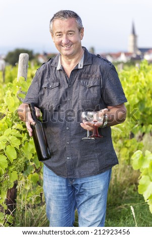 Man with wine bottle and glasses in vineyard