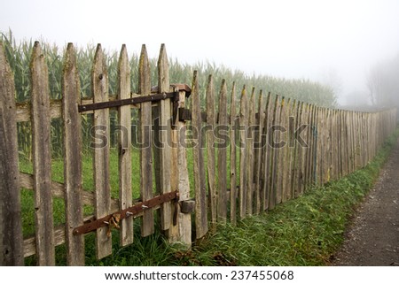 Garden Fence in the Mist