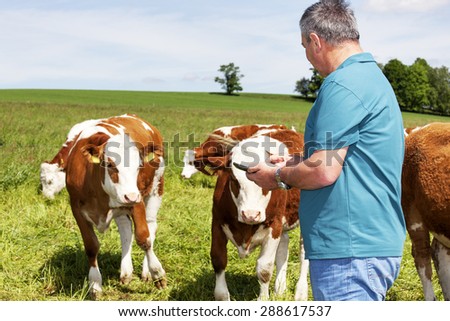 Farmers are using tablet computer at his cows