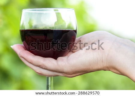 Woman\'s hand holding glass of red wine in vineyard