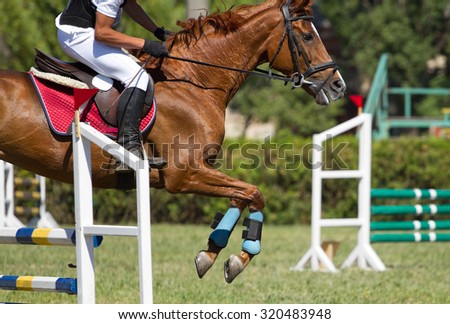Horse jump a hurdle in competition