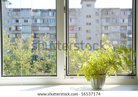 Window with flowerpot in front view