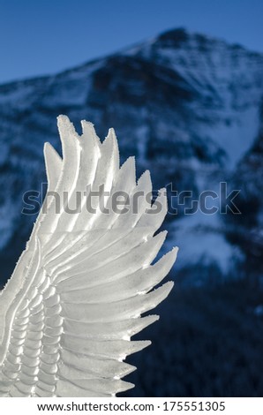 Wing ice carving