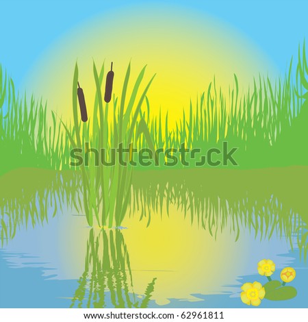 Grass And Pond