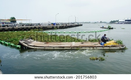 KAOSHION CITY, KAOSHION, TAIWAN - JUNE 28, 2014: Taiwanese sanitation workers working on a river, trying to take water hyacinth into the net in order to discard them after the collecting operation.