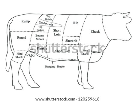 Vector Beef Cuts Chart (cow) - 120259618 : Shutterstock