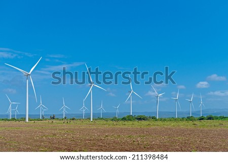 Wind power farm, field, herd of cows