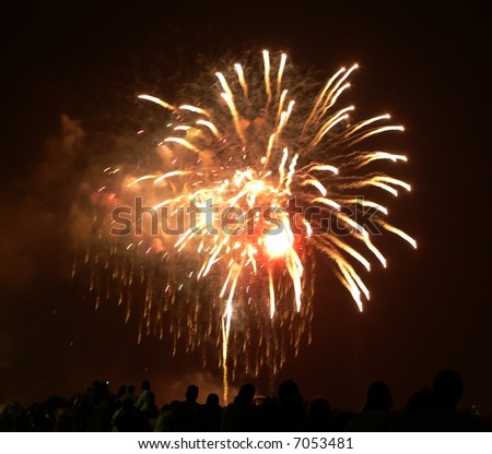 fireworks display during a holiday above a crowd of spectators