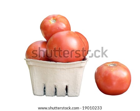 locally farm grown tomatoes in a basket isolated on a white background via clipping path