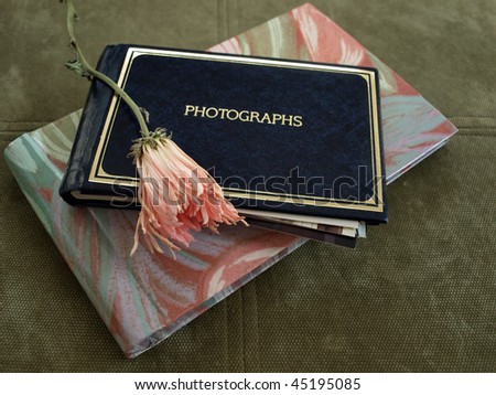 concept photo of a dried flower resting on some photo albums to represent personal memories