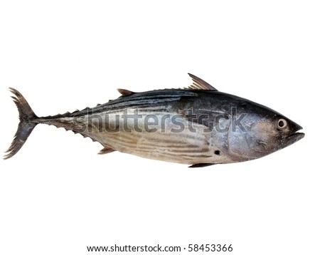 A Tuna