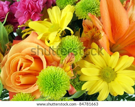 Close up of a flower bouquet on a white background