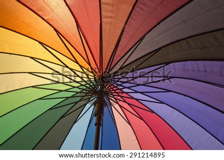 Color Pattern of an Umbrella