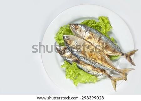 Fish Fry on a plate