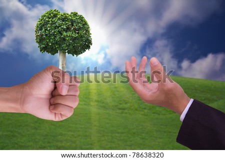 hand holding tree concept for conservation