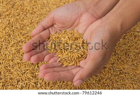 Holding Rice