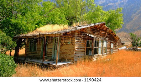 Rustic Cabin
