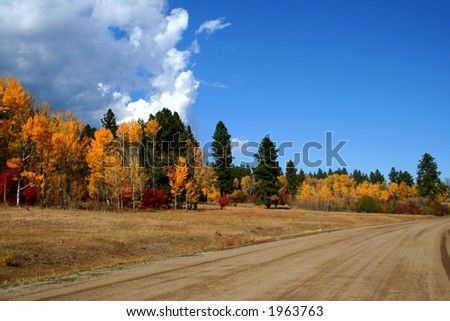 Fall on West Mountain Road, Valley County Idaho