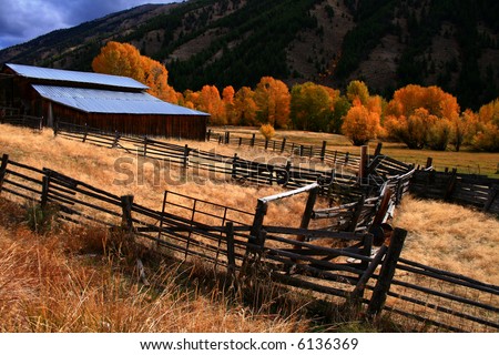Rustic barn and fall aspens in central Idaho