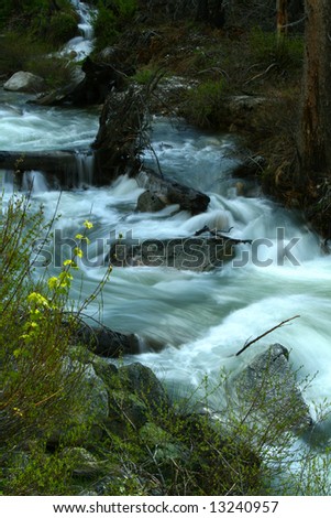 Spring run off on Canyon Creek in central Idaho