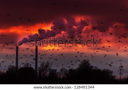 Heavy smoke spewed from coal powered plant smoke stacks under dramatic red sunset
