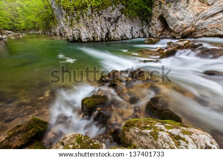 Waterfalls and mountain stream in the forest in spring in the Transylvania Alps
