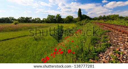 Scenic railroad in rural area in summer