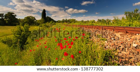 Scenic railroad in rural area in summer