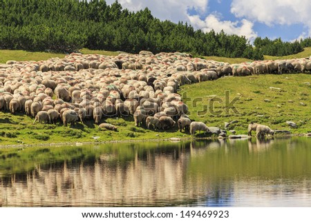Pastoral mountain landscape with flock of sheep and blue sky
