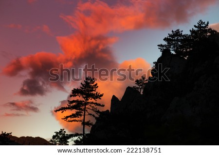 Mountain scenery with black pine trees Pinus nigra silhouettes profiled on beautiful sunrise sky