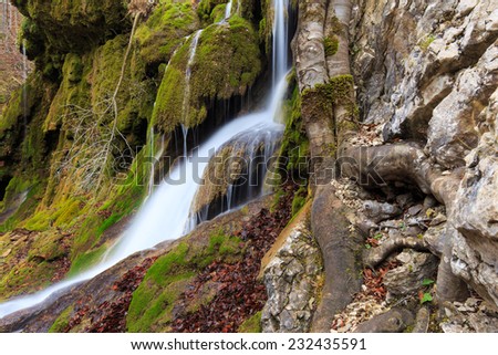 Beautiful autumn foliage, waterfalls and mountain stream in the forest