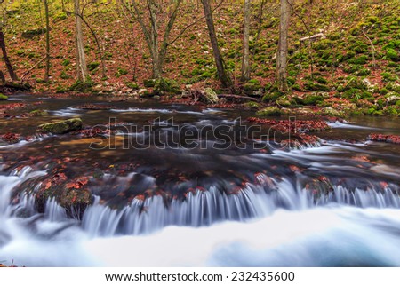 Beautiful autumn foliage, waterfalls and mountain stream in the forest