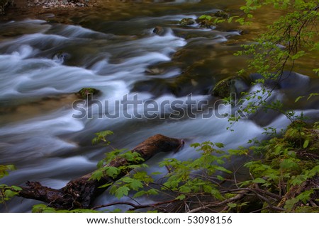 Stream in the mountains in spring
