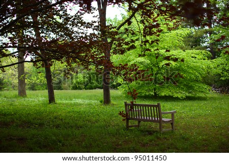 Lonely bench in the forest in spring