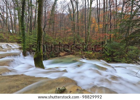 Clear stream and November foliage in remote mountain location
