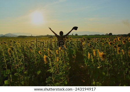 Man with raised hands enjoys with beauty world in Sunflower field.  HDR effect used in this image.