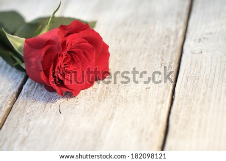 Harvesting with flower roses left hand side on a wooden background. Rose.
