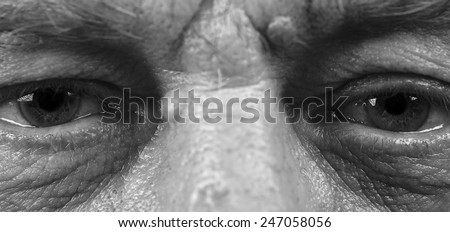 Eyes of an elderly man close-up. Black-and-white photo