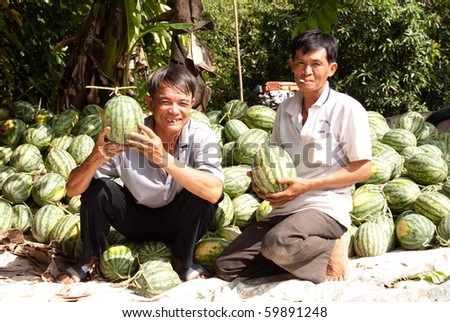 CAN THO, VIETNAM, AUGUST 27: two watermelon farmers in Can Tho on August 27, 2010. Mekong delta supplies vegetables for local provinces but also for HCM, Hanoi, Cambodia and China