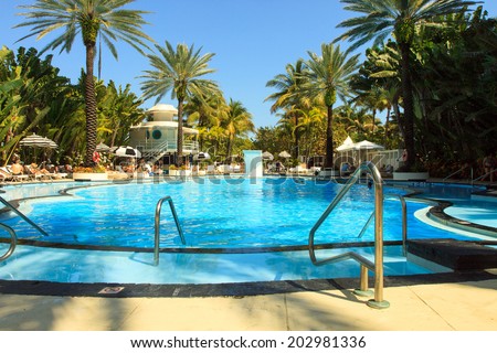 Color DSLR image of a Resort Pool in South Beach, Miami, Florida.  The water is blue, and there are palm trees framing the pool.  The image is in horizontal orientation with ample copy space for text.