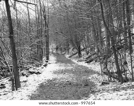 Black and white DSLR picture of a path through the white snow in the forest.  The foot trail is not covered by snow.  In horizontal orientation.