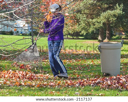 DSLR picture of mature, adult woman dressed in blue sweats raking autumn leaves in a backyard. Lawn is green but fall leaves have lost vibrant color. Horizontal orientation with copy space for text