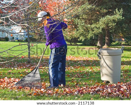 Color DSLR picture of a fit older woman raking autumn leaves in the green grass of a suburban backyard.  The chore is almost complete.  Horizontal orientation with copy space for text.