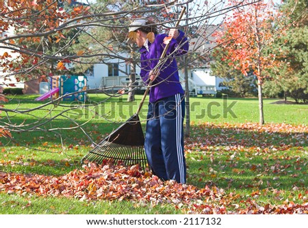 Color DSLR picture of mature, fit adult woman raking autumn leaves in a green grass back yard. Woman is dressed in casual blue clothing. Horizontal with copy space for text.
