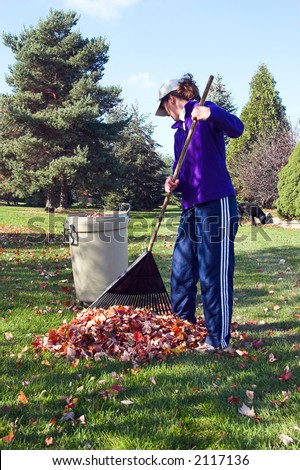 Color DSLR picture of fit mature woman raking leaves autumn leaves in a backyard. She is wearing a blue sweatsuit and hat. Leaves are turning brown with the approach of winter though grass is green.