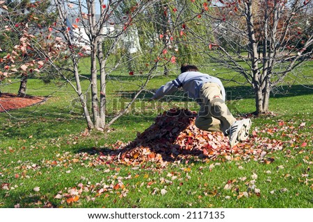 Color DSLR picture of a young boy jumping into a pile of fall leaves.  The child is playing on a green grass yard with trees.  The image is sunlit, in horizontal orientation with copy space for text.